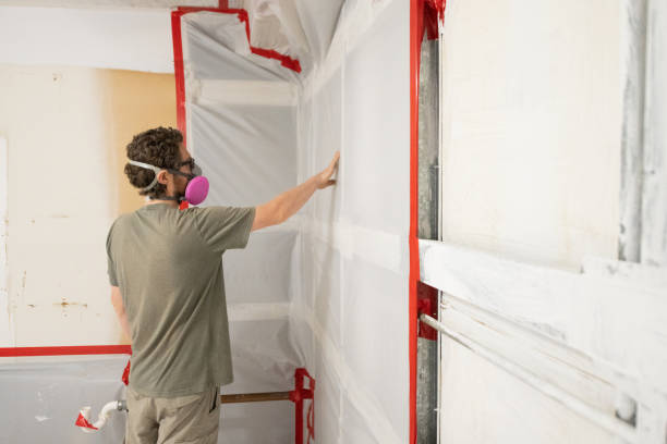 Mold Documentation for Insurance Claims in Shady Spring, WV