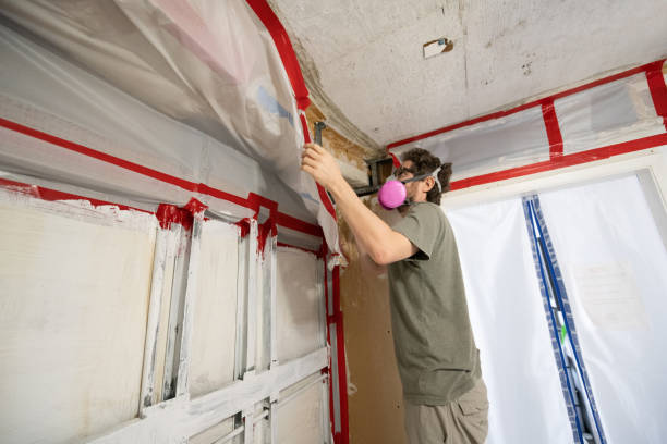Best Environmental Consulting for Mold Prevention  in Shady Spring, WV
