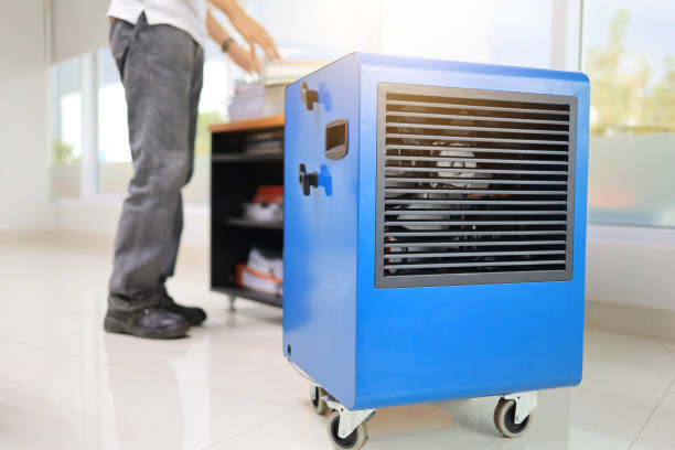 Best Mold Documentation for Insurance Claims  in Shady Spring, WV