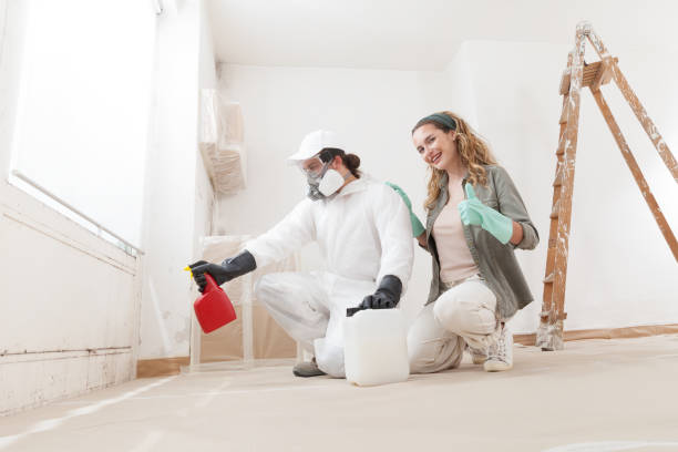 Reliable Shady Spring, WV Mold Removal Solutions